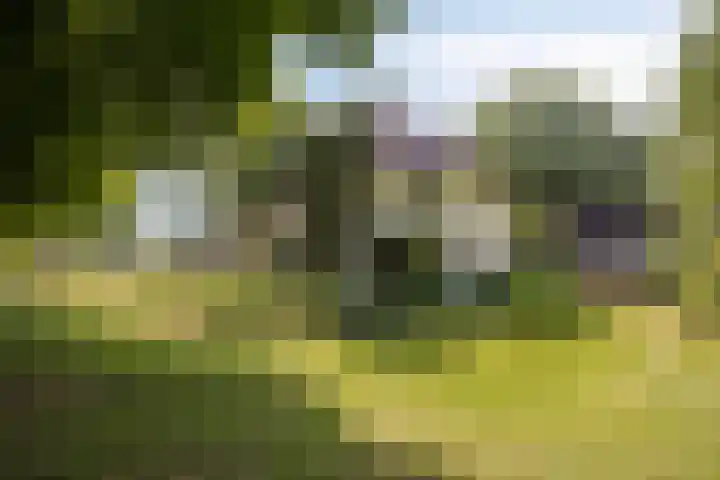 Lagekamp 13 Epe thumbnail 8