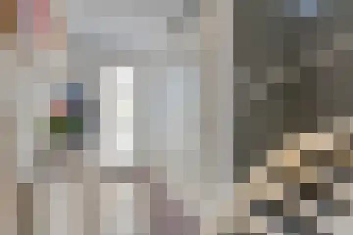 Lagekamp 6 Wapenveld thumbnail 13