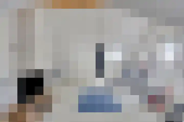 Lagekamp 6 Wapenveld thumbnail 26