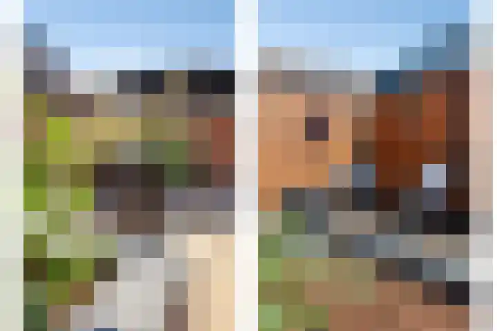 Lagekamp 6 Wapenveld thumbnail 30