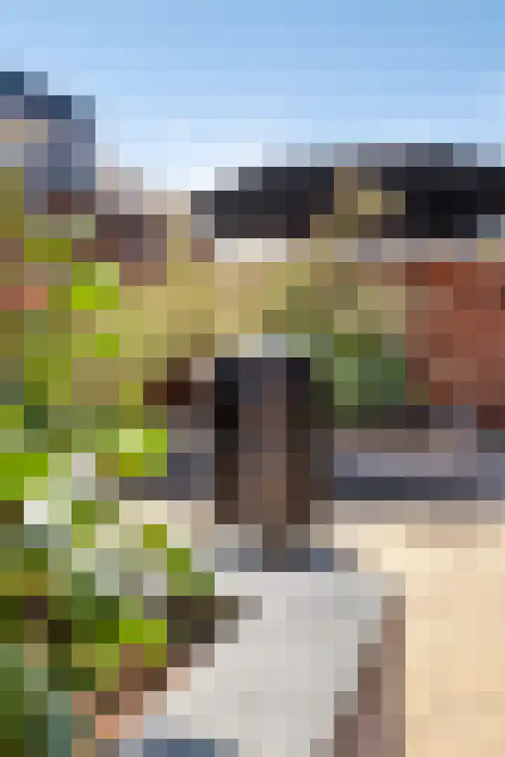 Lagekamp 6 Wapenveld thumbnail 31