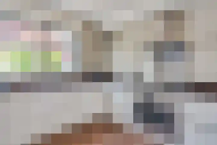 Lagekamp 6 Wapenveld thumbnail 4