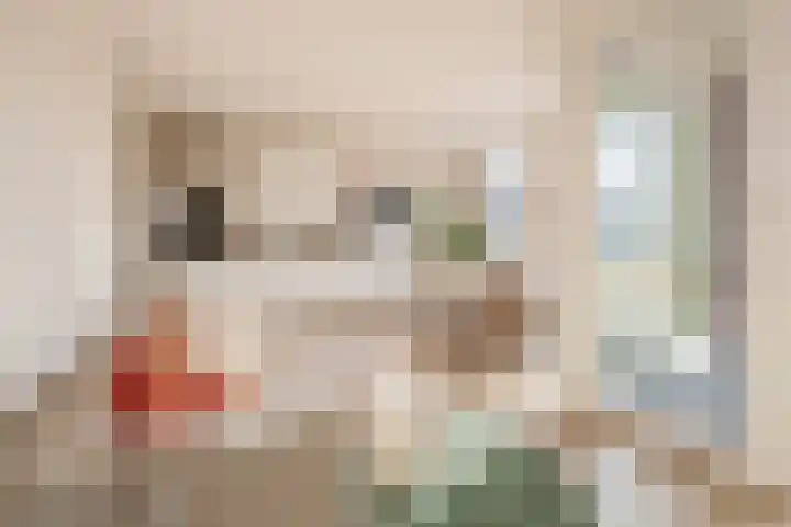 Lagekerk 17 Deurne thumbnail 17