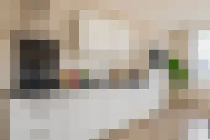 Lagekerk 17 Deurne thumbnail 26