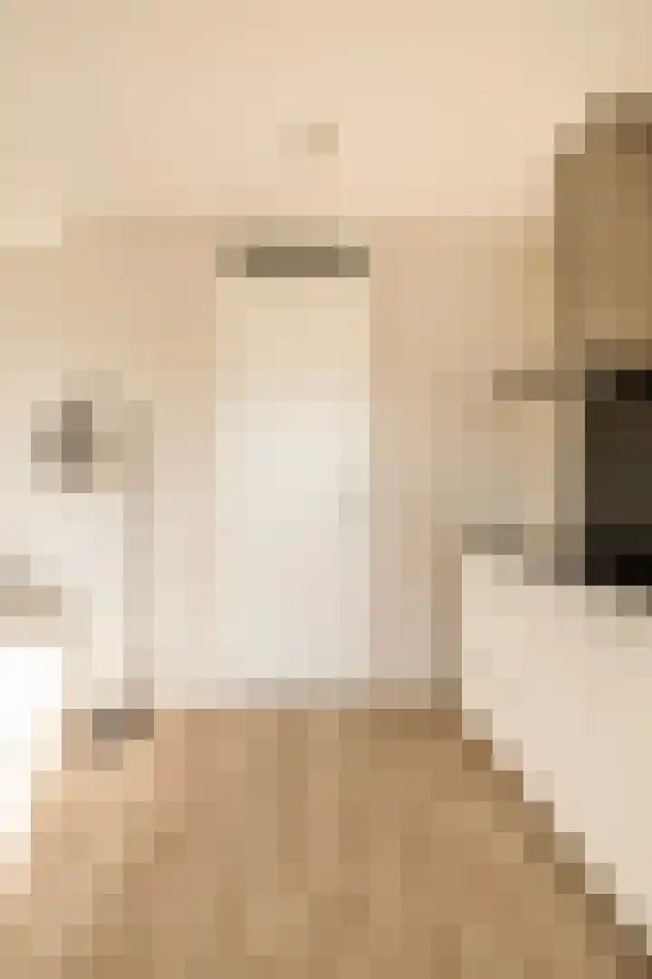Lagekerk 17 Deurne thumbnail 29