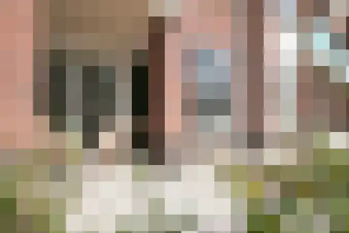 Lagekerk 19 Deurne thumbnail 18