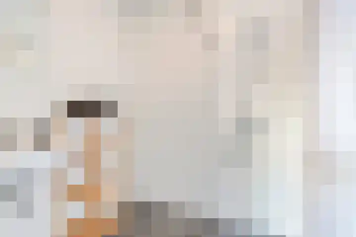 Lagekerk 19 Deurne thumbnail 20