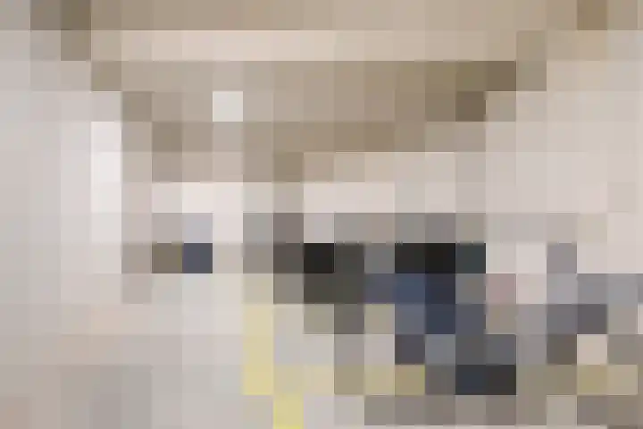 Lagekerk 19 Deurne thumbnail 26