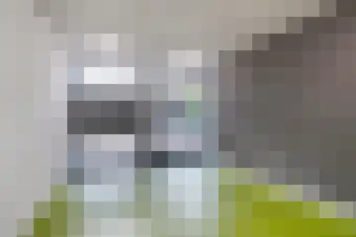 Lagekerk 19 Deurne thumbnail 8