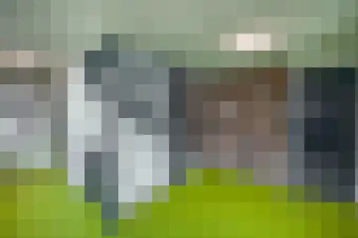 Lagekerk 37 Deurne thumbnail 11