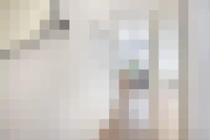 Lagekerk 37 Deurne thumbnail 16