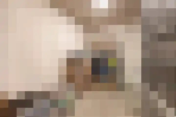 Lagekerk 37 Deurne thumbnail 37