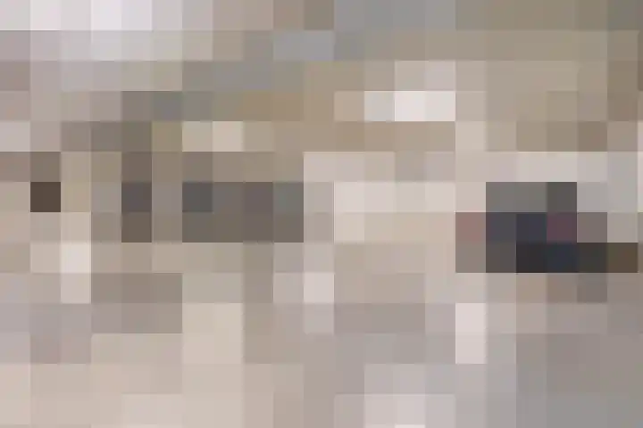 Lagekerk 37 Deurne thumbnail 39