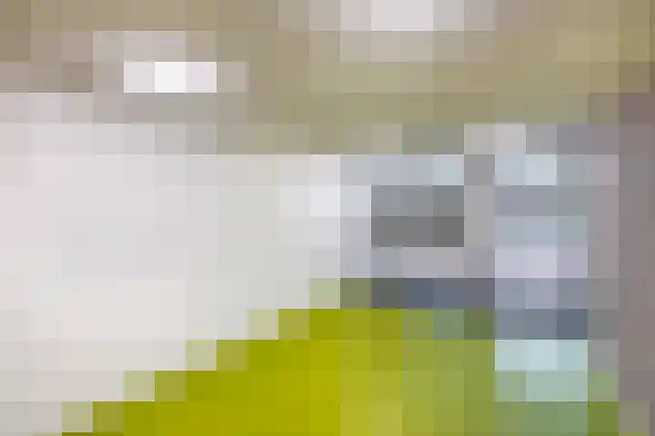 Lagekerk 37 Deurne thumbnail 9