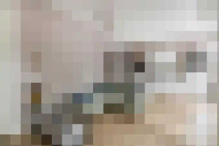 Lagekerk 41 Deurne thumbnail 14