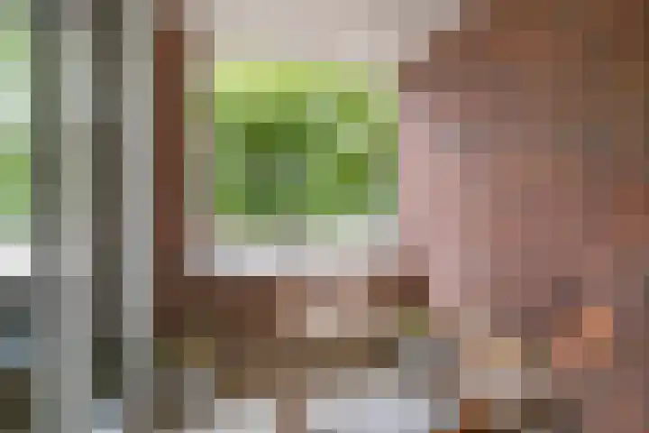 Lagekerk 41 Deurne thumbnail 16