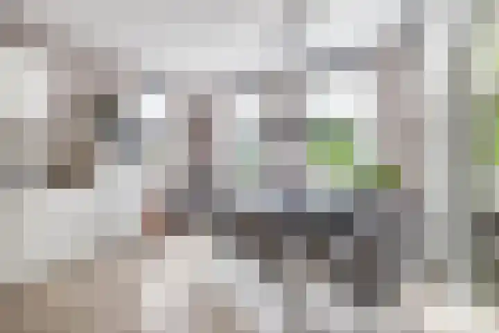 Lagekerk 41 Deurne thumbnail 19