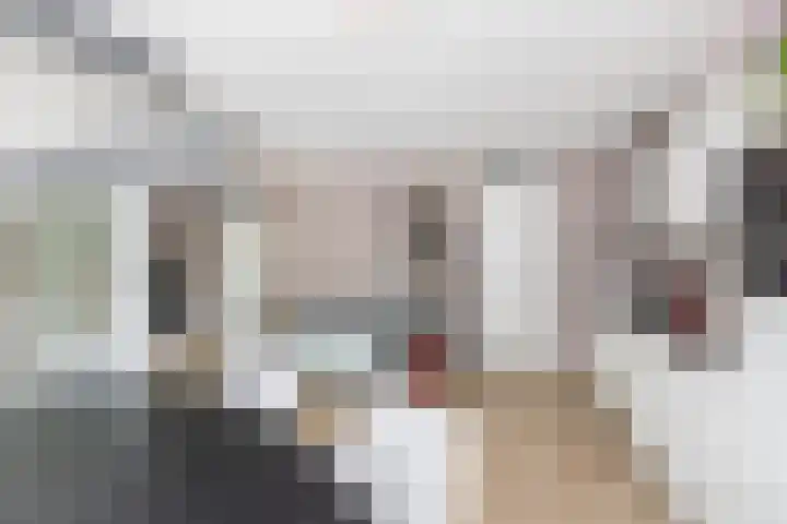 Lagekerk 41 Deurne thumbnail 20