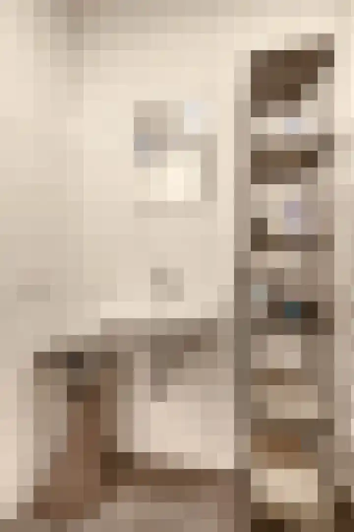 Lagekerk 41 Deurne thumbnail 31