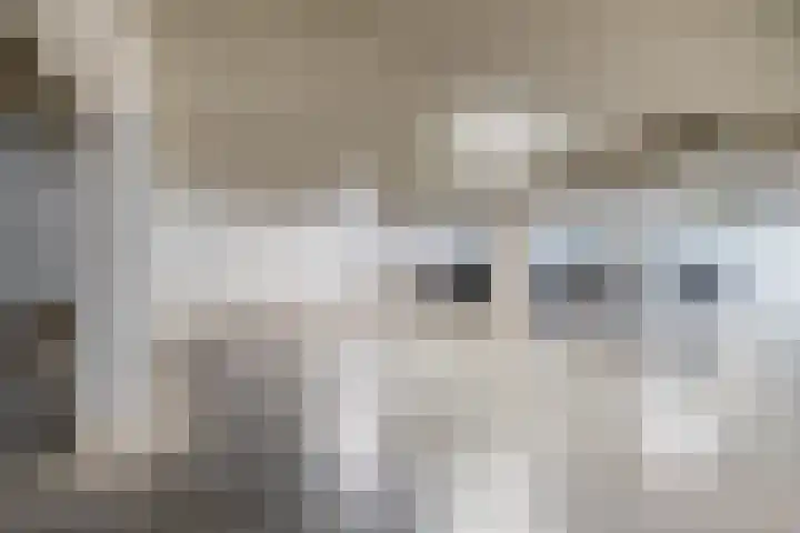 Lagekerk 41 Deurne thumbnail 32