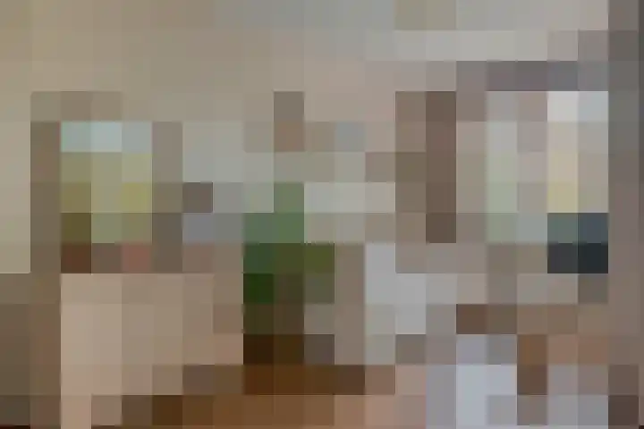 Lagekerk 45 Deurne thumbnail 13