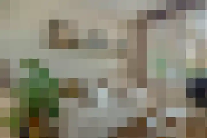 Lagekerk 45 Deurne thumbnail 15