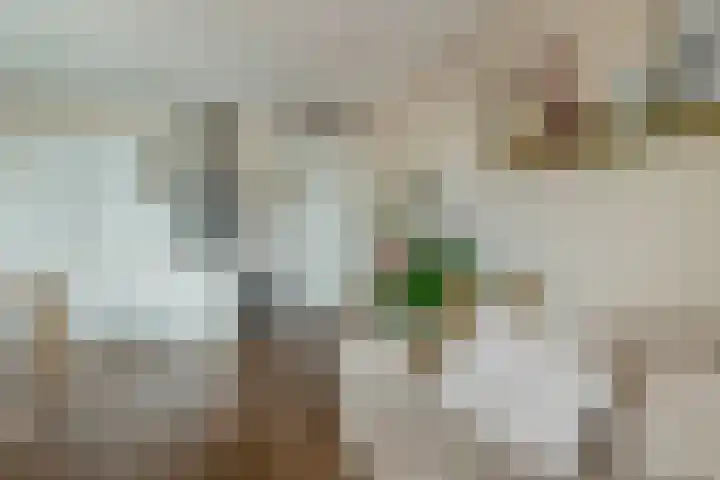 Lagekerk 45 Deurne thumbnail 16