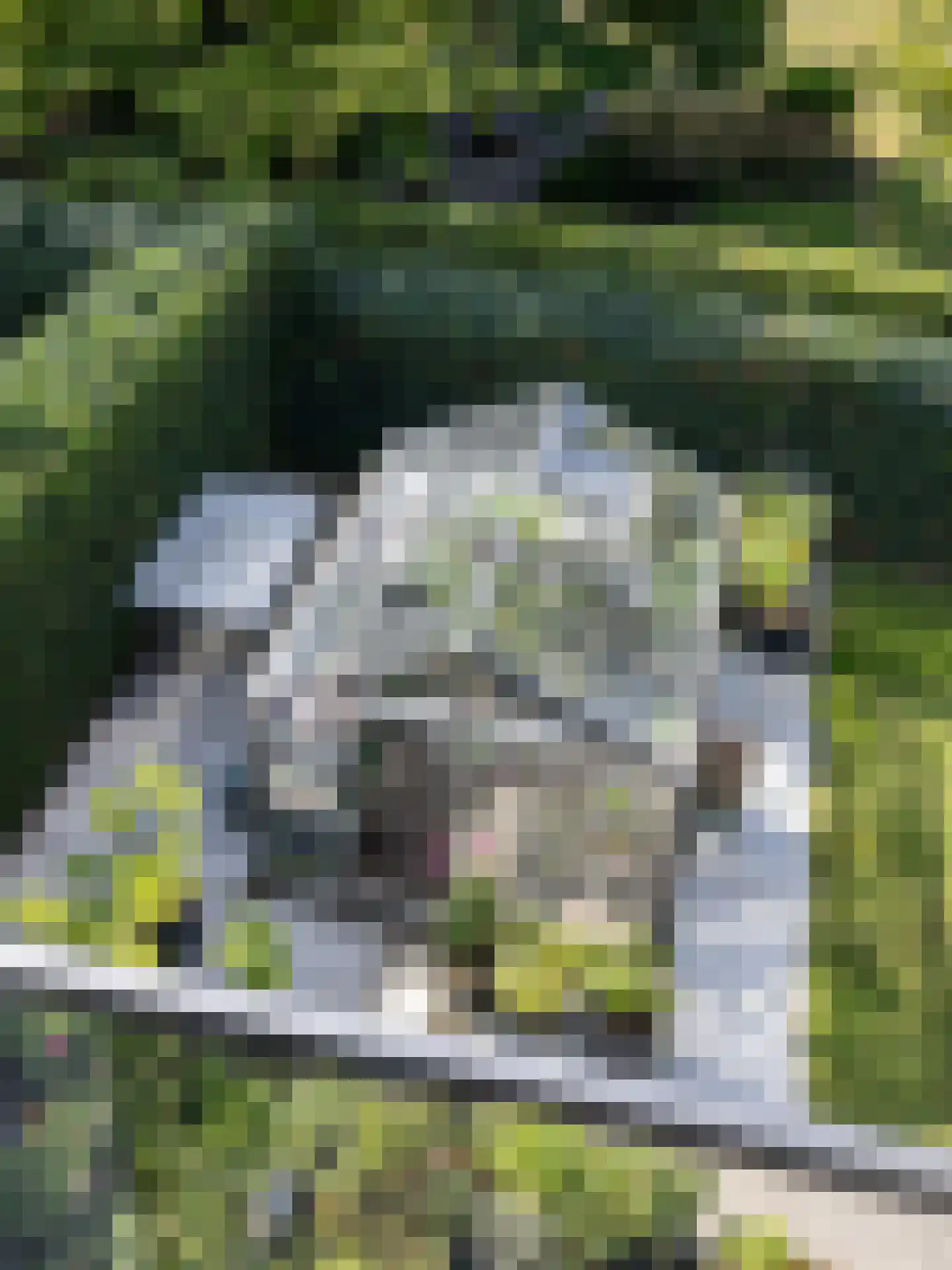 Lagekerk 45 Deurne foto 3