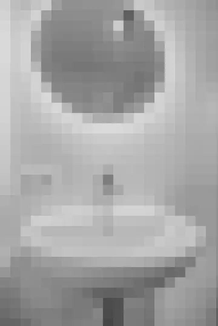 Lagekerk 45 Deurne thumbnail 32