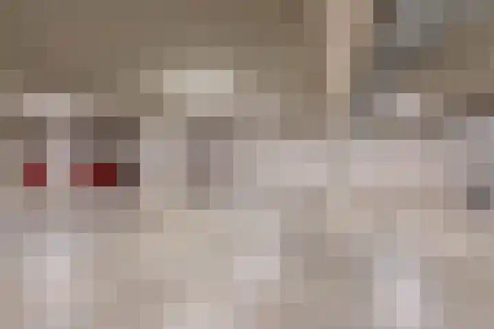Lagekerk 45 Deurne thumbnail 34
