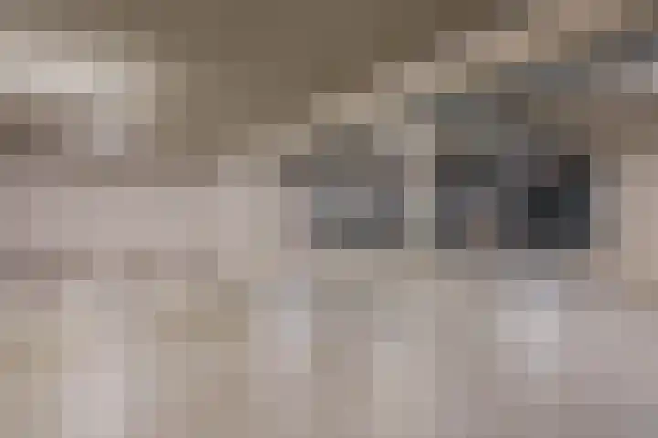 Lagekerk 45 Deurne thumbnail 35