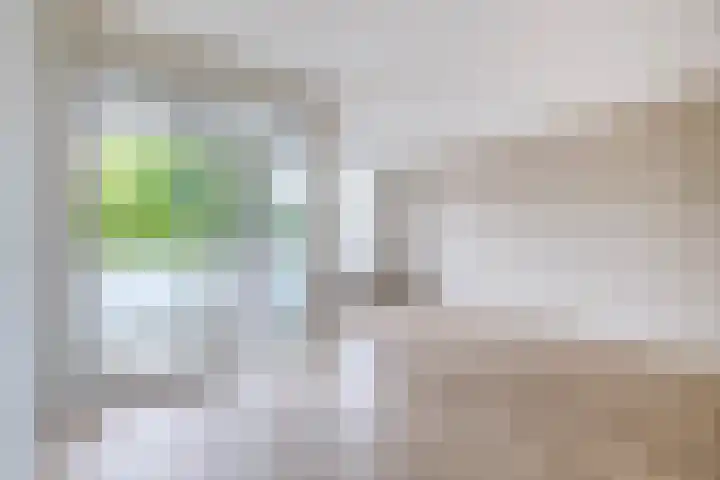 Lagekerk 53 Deurne thumbnail 18