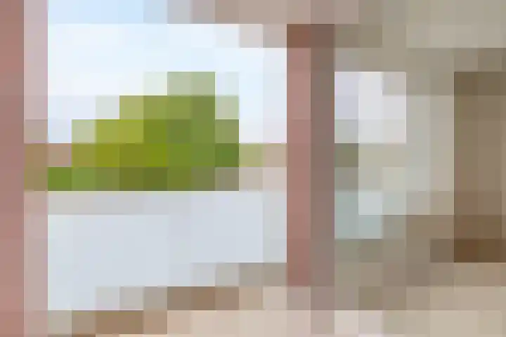 Lagekerk 53 Deurne thumbnail 19