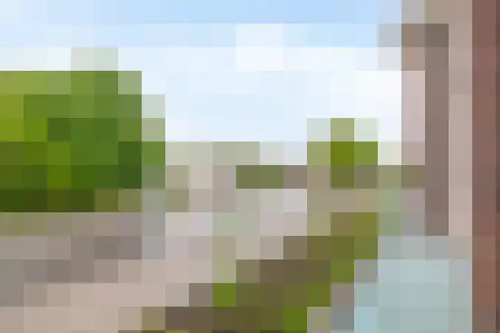 Lagekerk 53 Deurne thumbnail 20