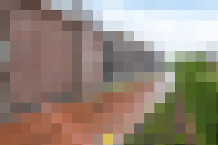 Lagekerk 53 Deurne thumbnail 31