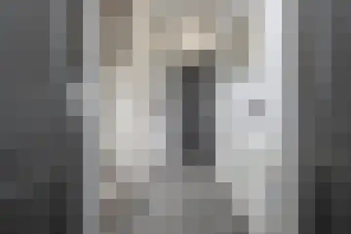 Lagekerk 53 Deurne thumbnail 33