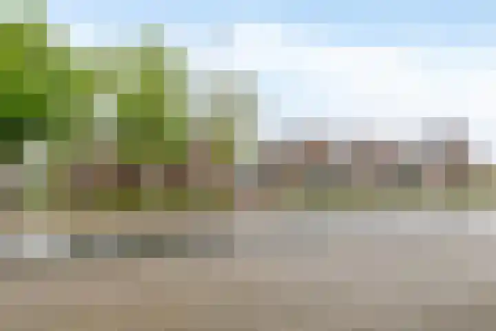 Lagekerk 53 Deurne thumbnail 6
