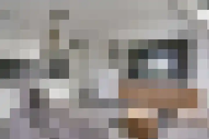 Lagekerk 63 Deurne thumbnail 11