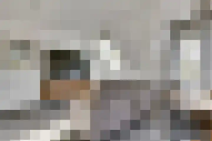 Lagekerk 63 Deurne thumbnail 12