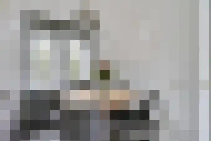 Lagekerk 63 Deurne thumbnail 13
