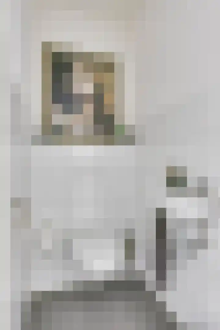 Lagekerk 63 Deurne thumbnail 21