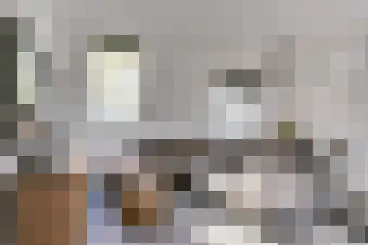 Lagekerk 63 Deurne thumbnail 9