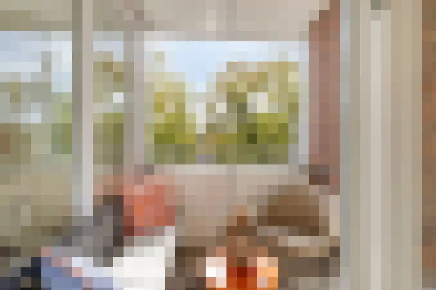 Lagekerk 65 Deurne thumbnail 25