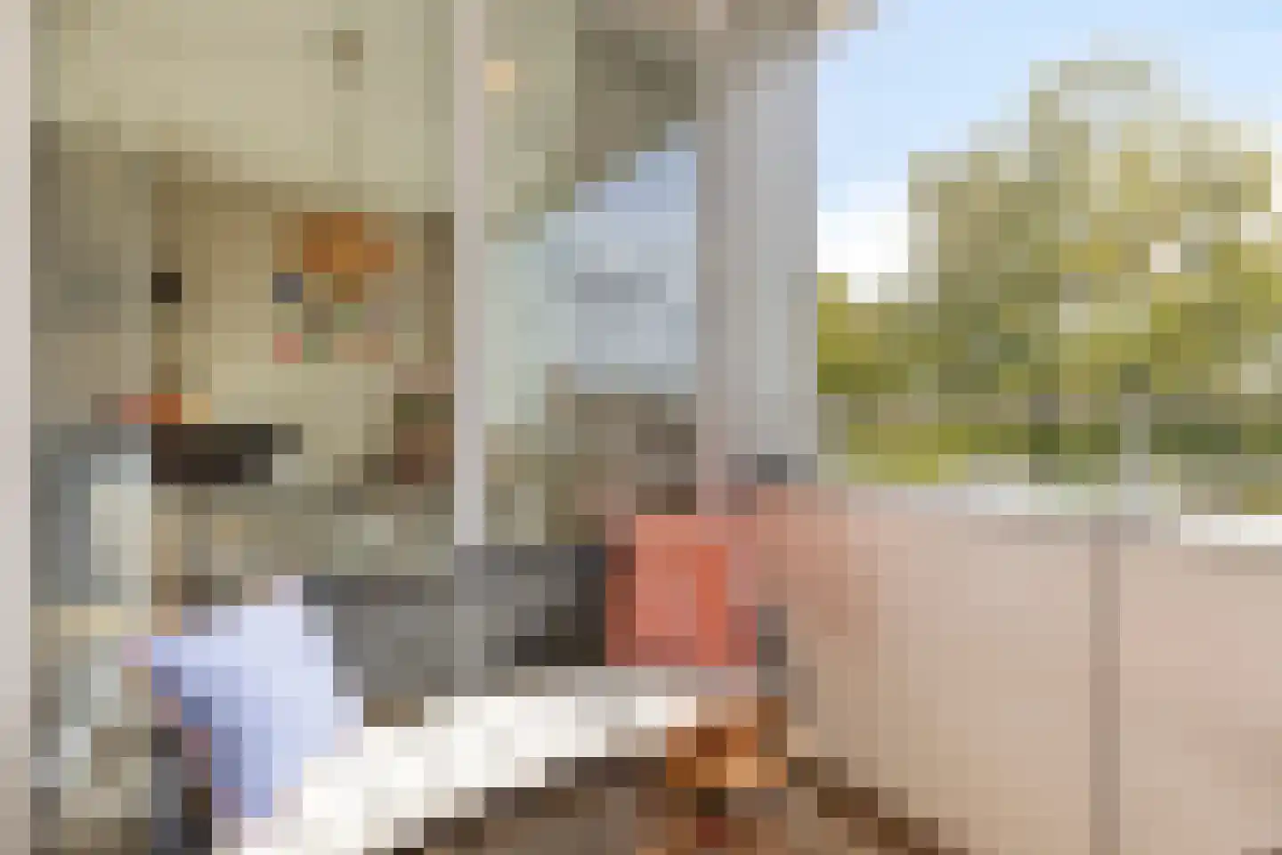 Lagekerk 65 Deurne thumbnail 26