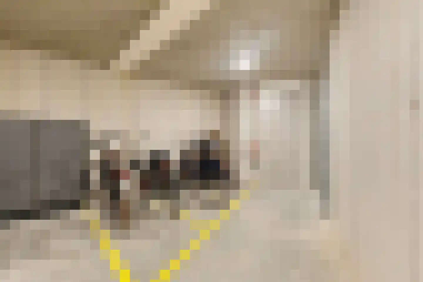 Lagekerk 65 Deurne thumbnail 32