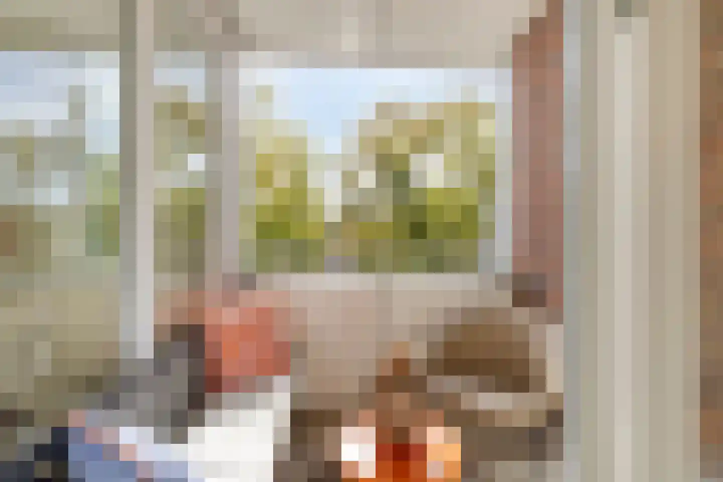 Lagekerk 65 Deurne thumbnail 4