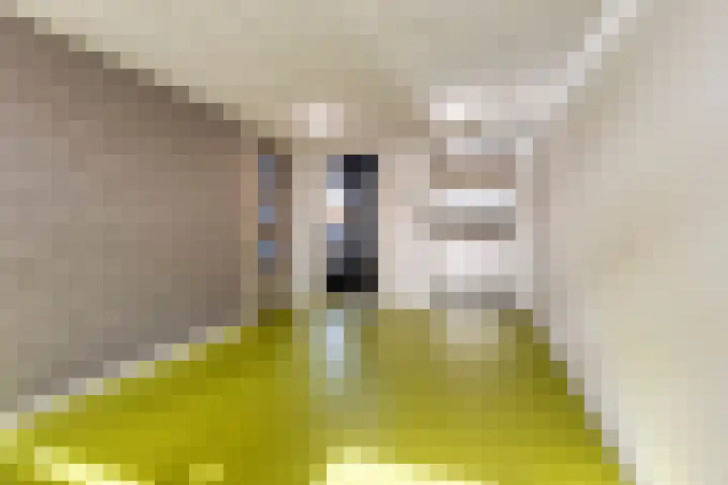 Lagekerk 65 Deurne thumbnail 9