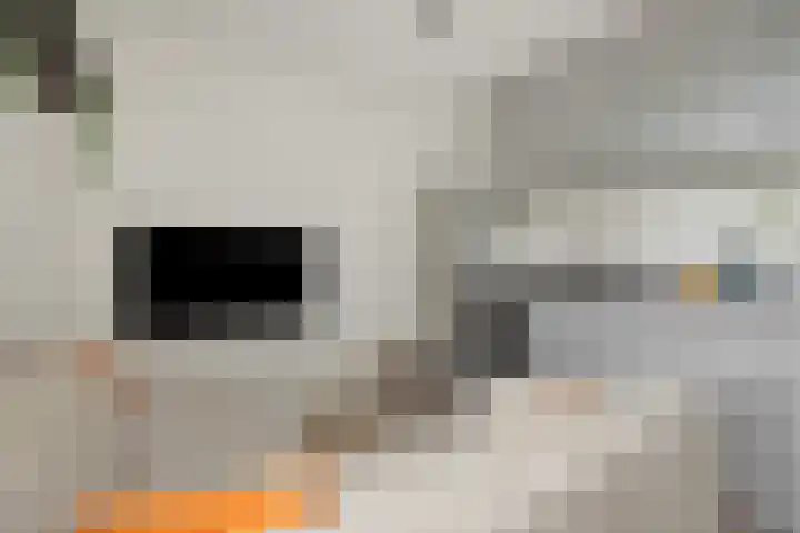 Lagekerk 69 Deurne thumbnail 13