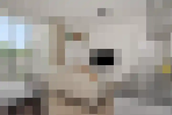 Lagekerk 69 Deurne thumbnail 15