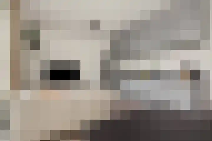 Lagekerk 69 Deurne thumbnail 16